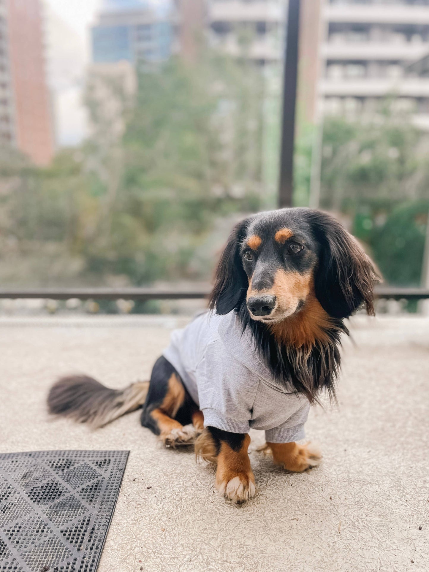 Sweat à capuche en bambou pour chien - Gris chiné clair