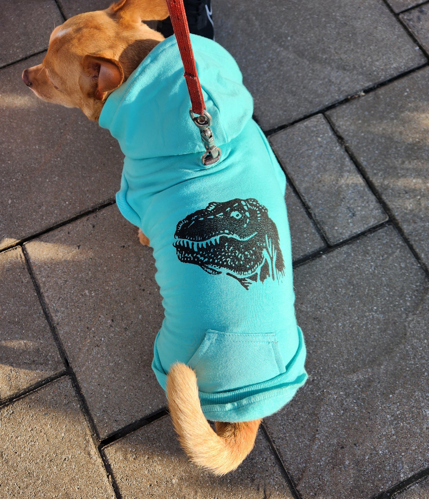 Sweat-shirt polaire pour chien - Biscuit