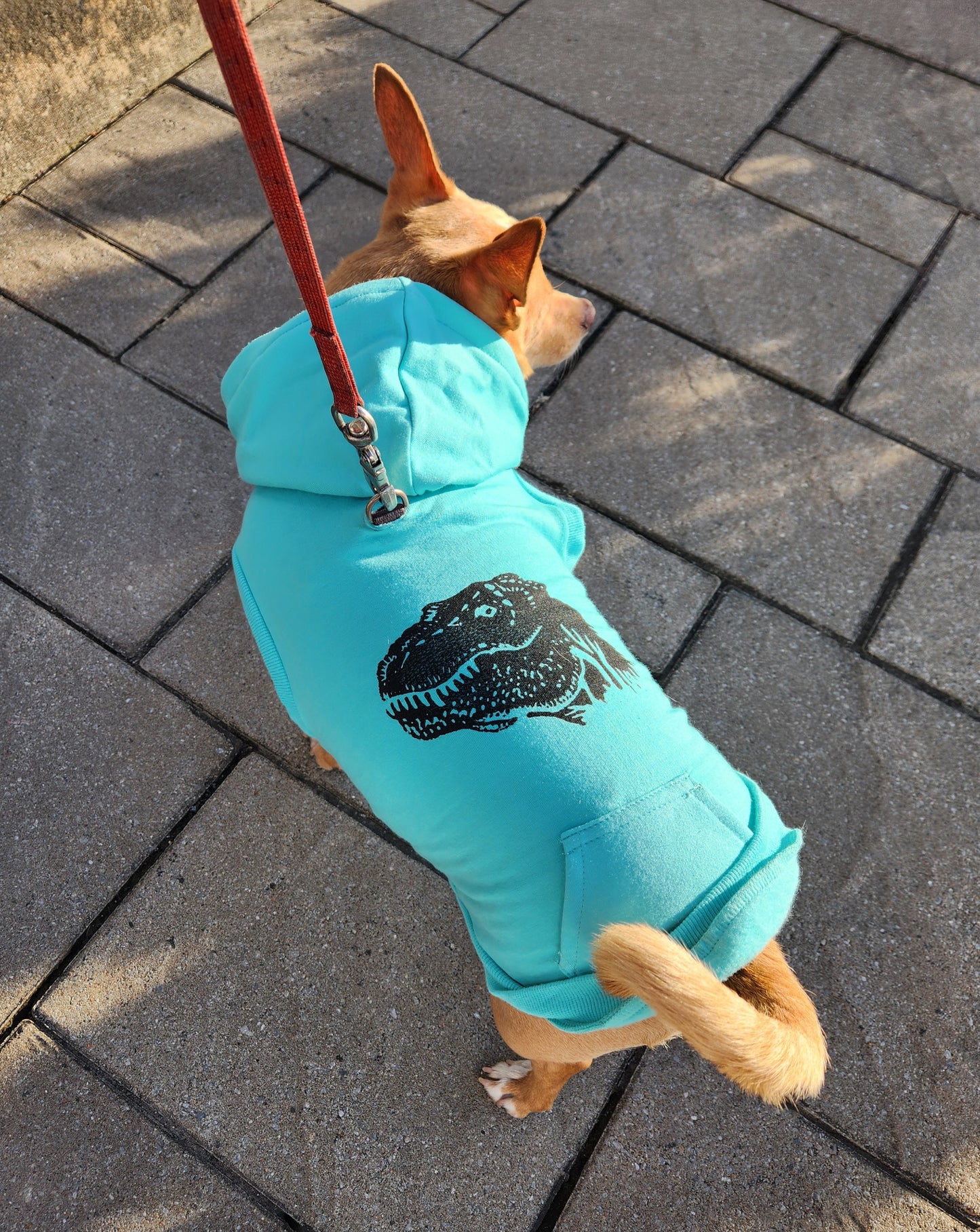 Sweat-shirt polaire pour chien - Biscuit