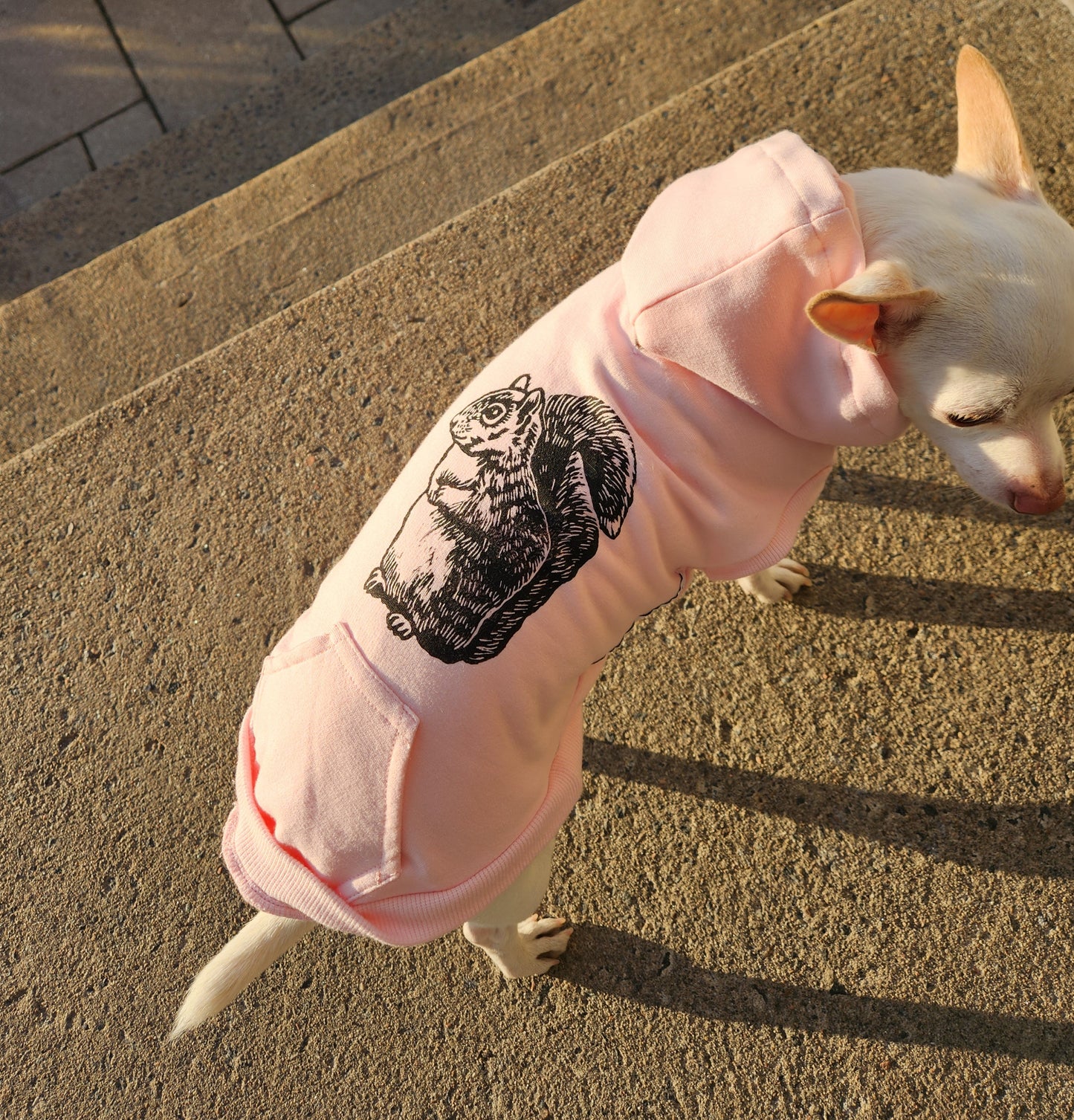 Sweat-shirt polaire pour chien - Biscuit