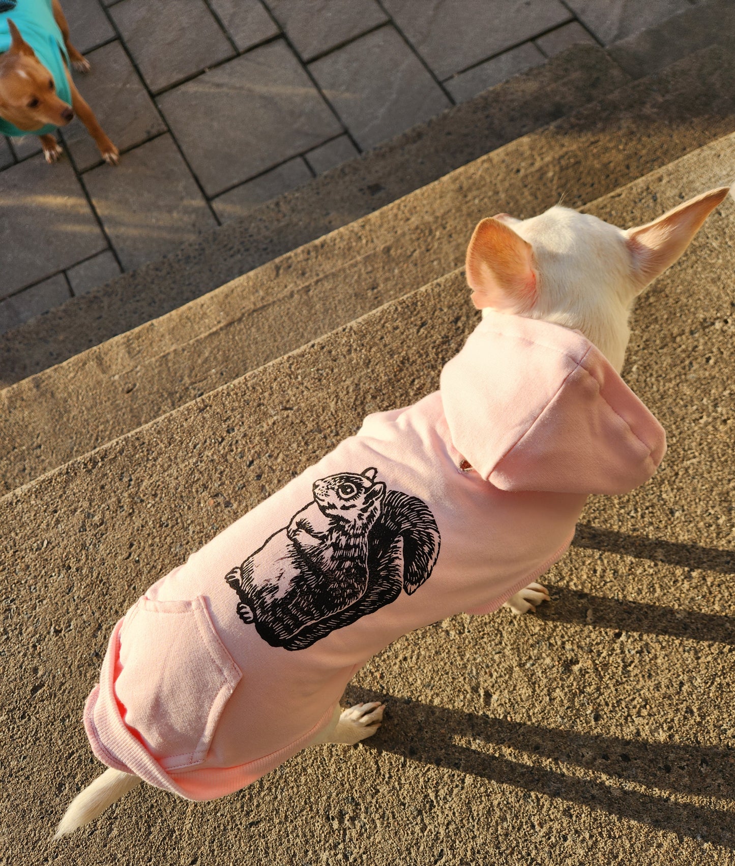 Sweat-shirt polaire pour chien - Biscuit