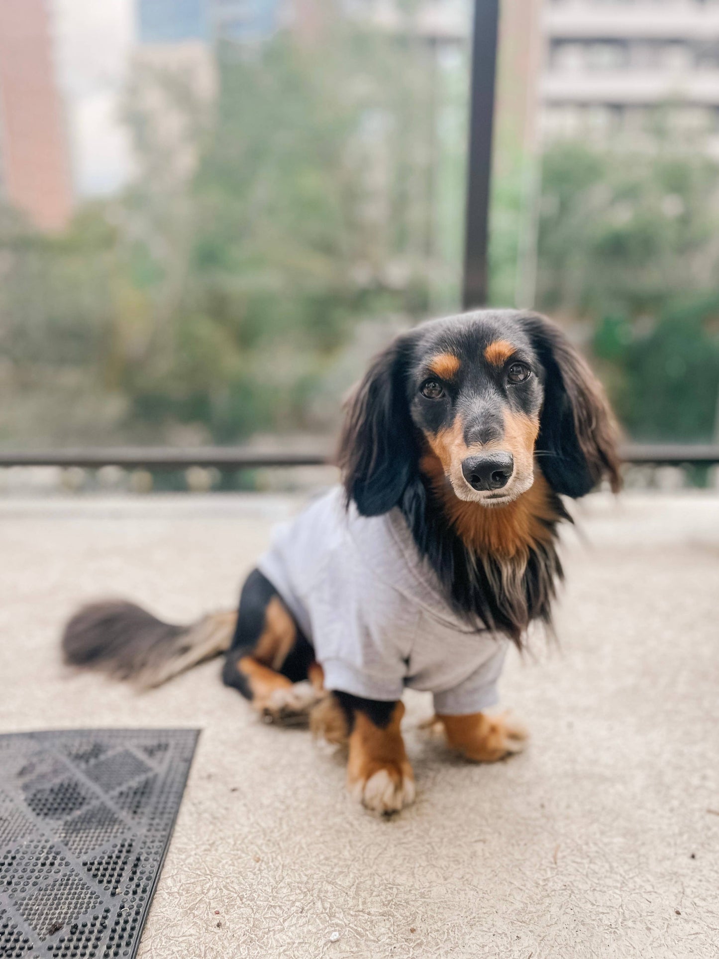 Sweat à capuche en bambou pour chien - Gris chiné clair