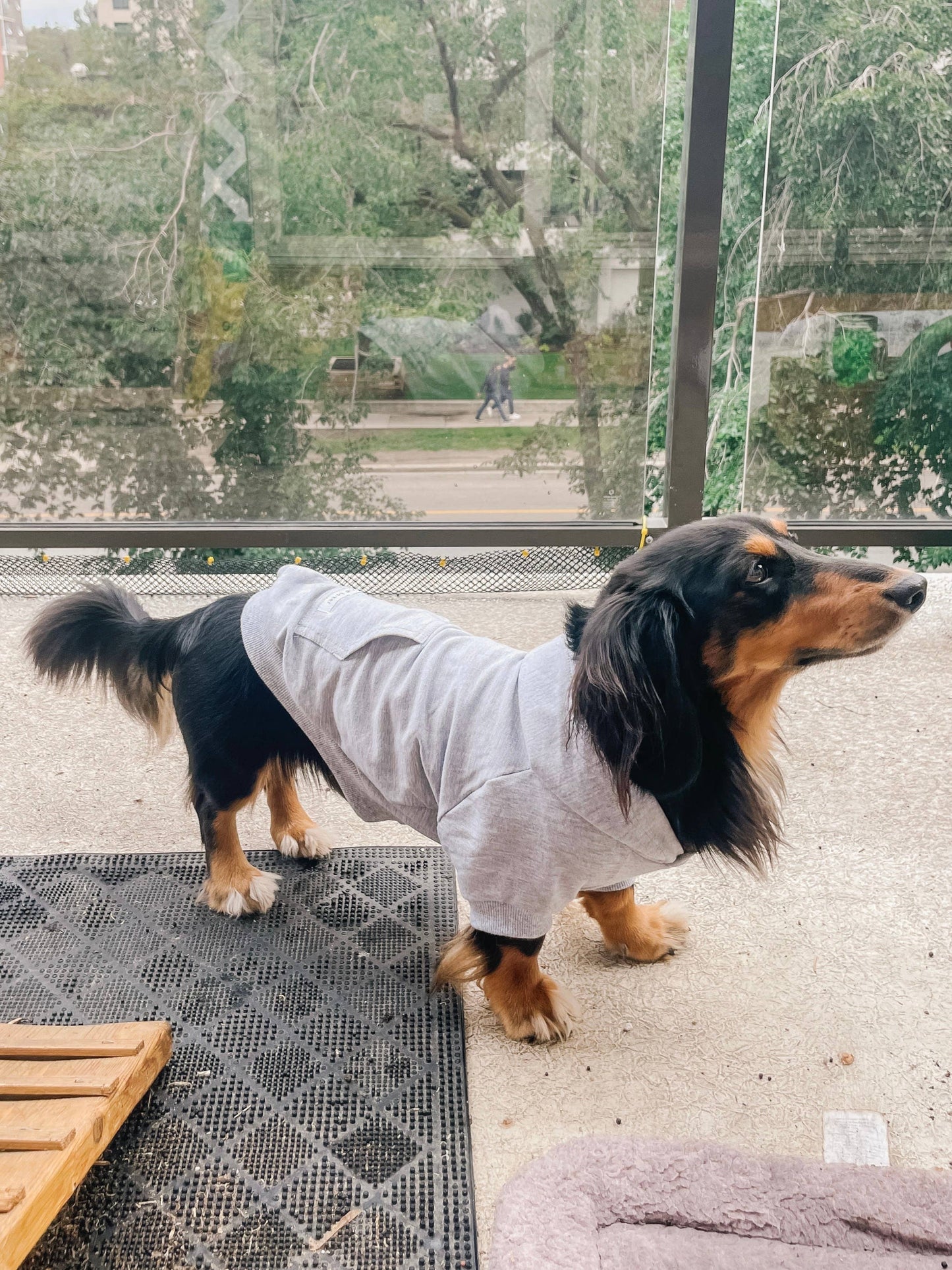 Sweat à capuche en bambou pour chien - Gris chiné clair