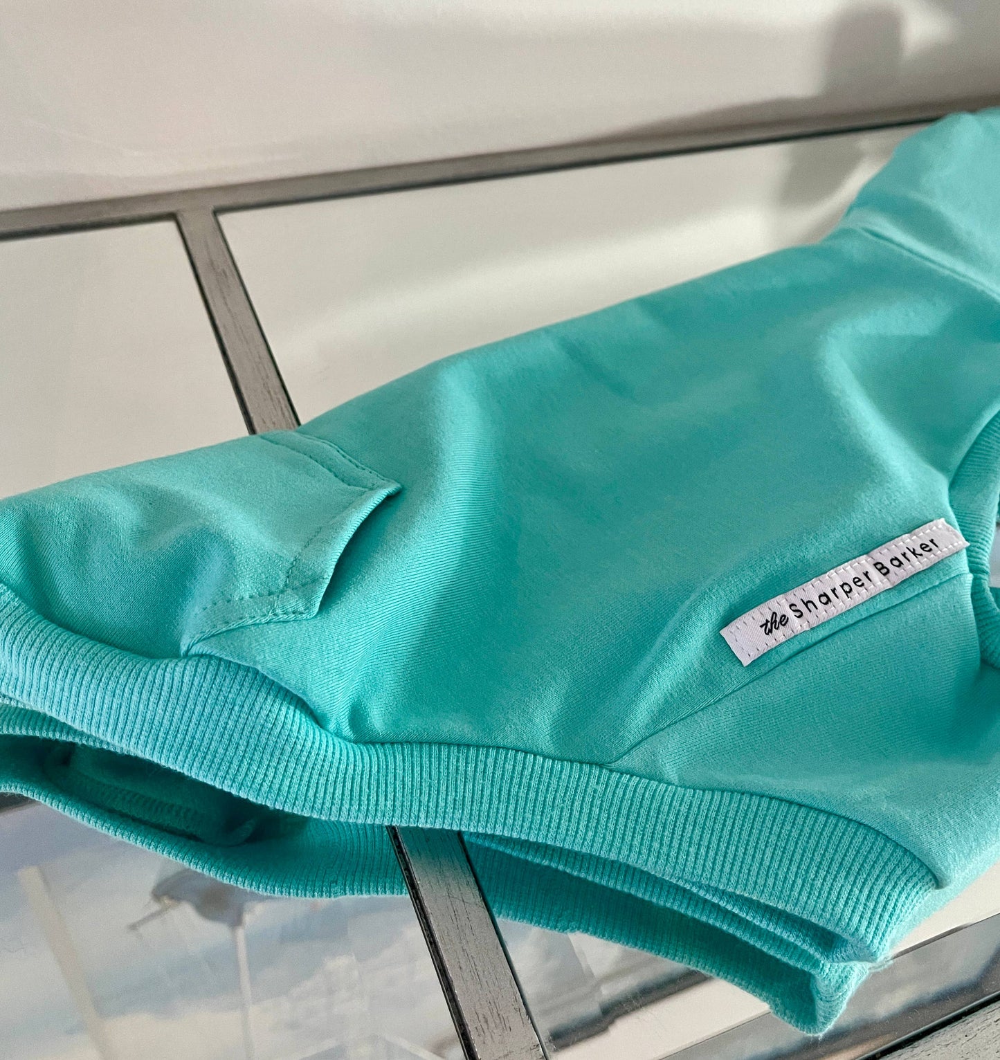 Sweat à capuche en bambou pour chien - Turquoise
