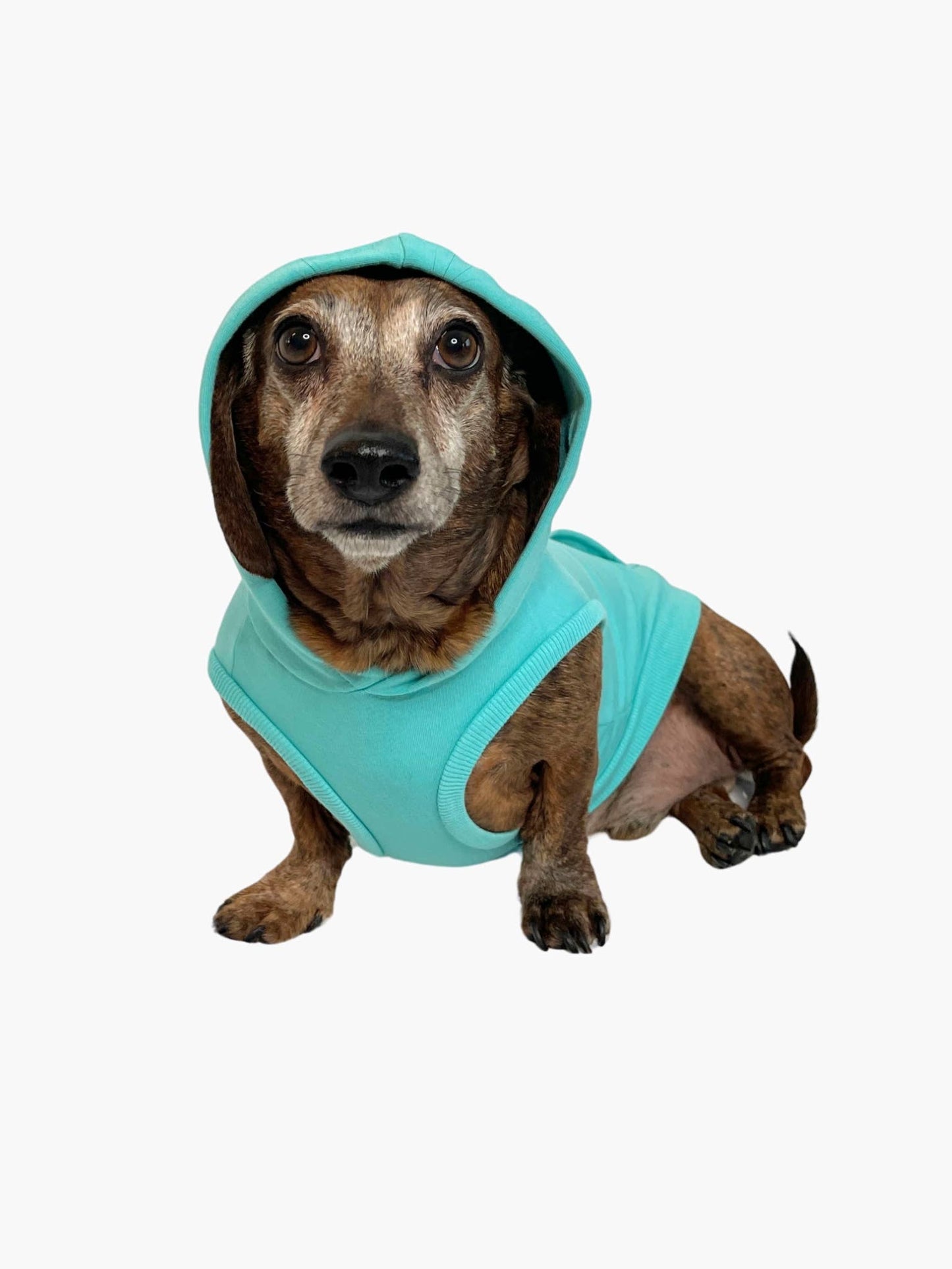 Sweat à capuche en bambou pour chien - Turquoise