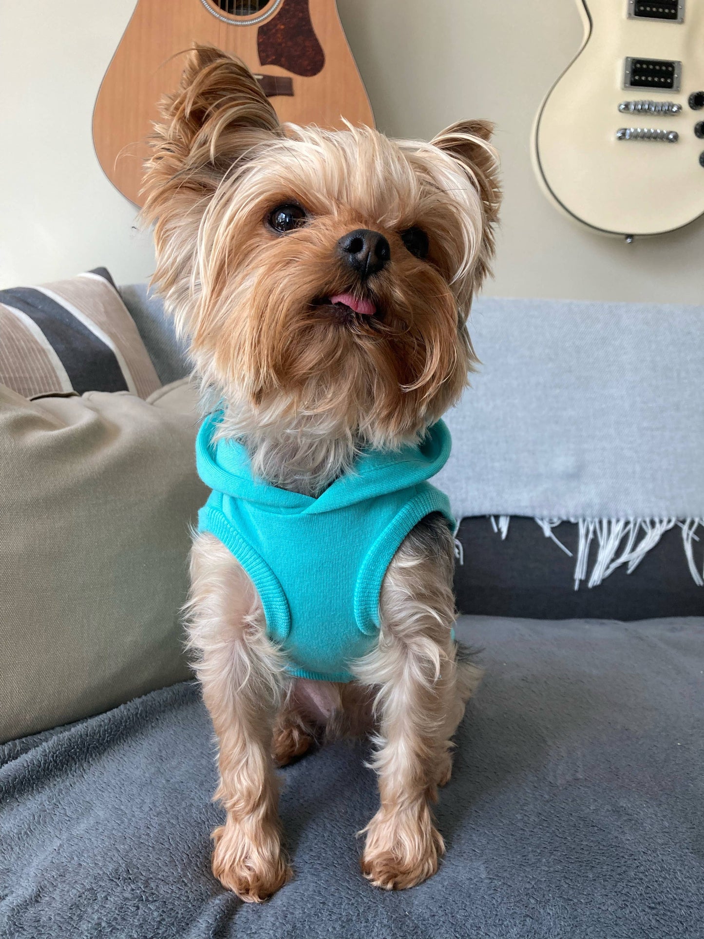 Sweat à capuche en bambou pour chien - Turquoise