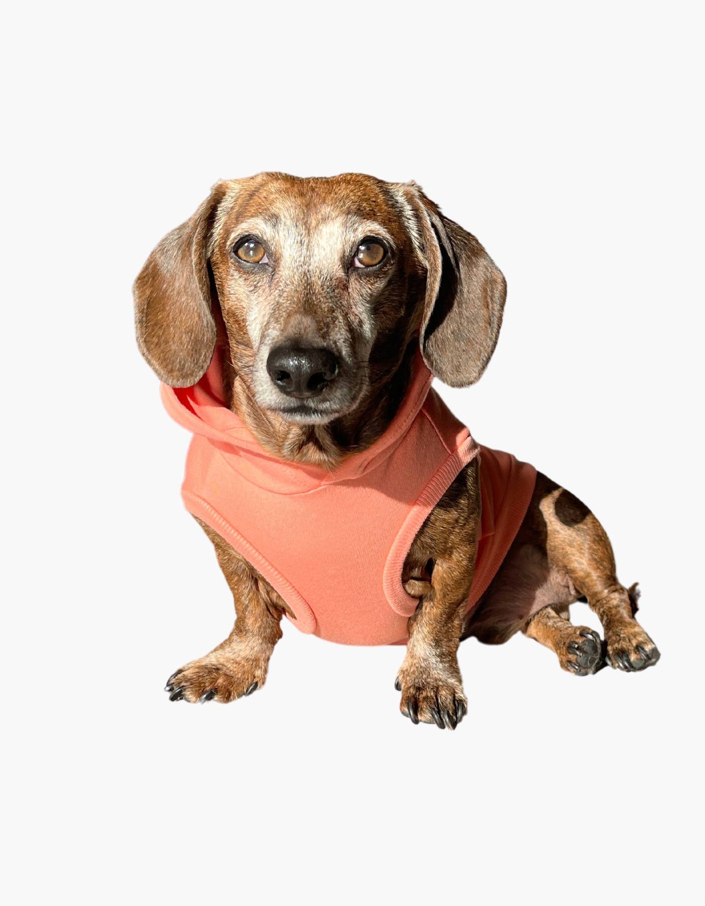 Sweat à capuche en bambou pour chien - Pêche