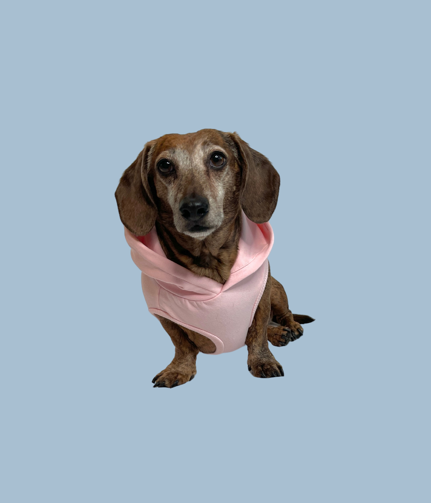 Sweat à capuche en bambou pour chien - Rose