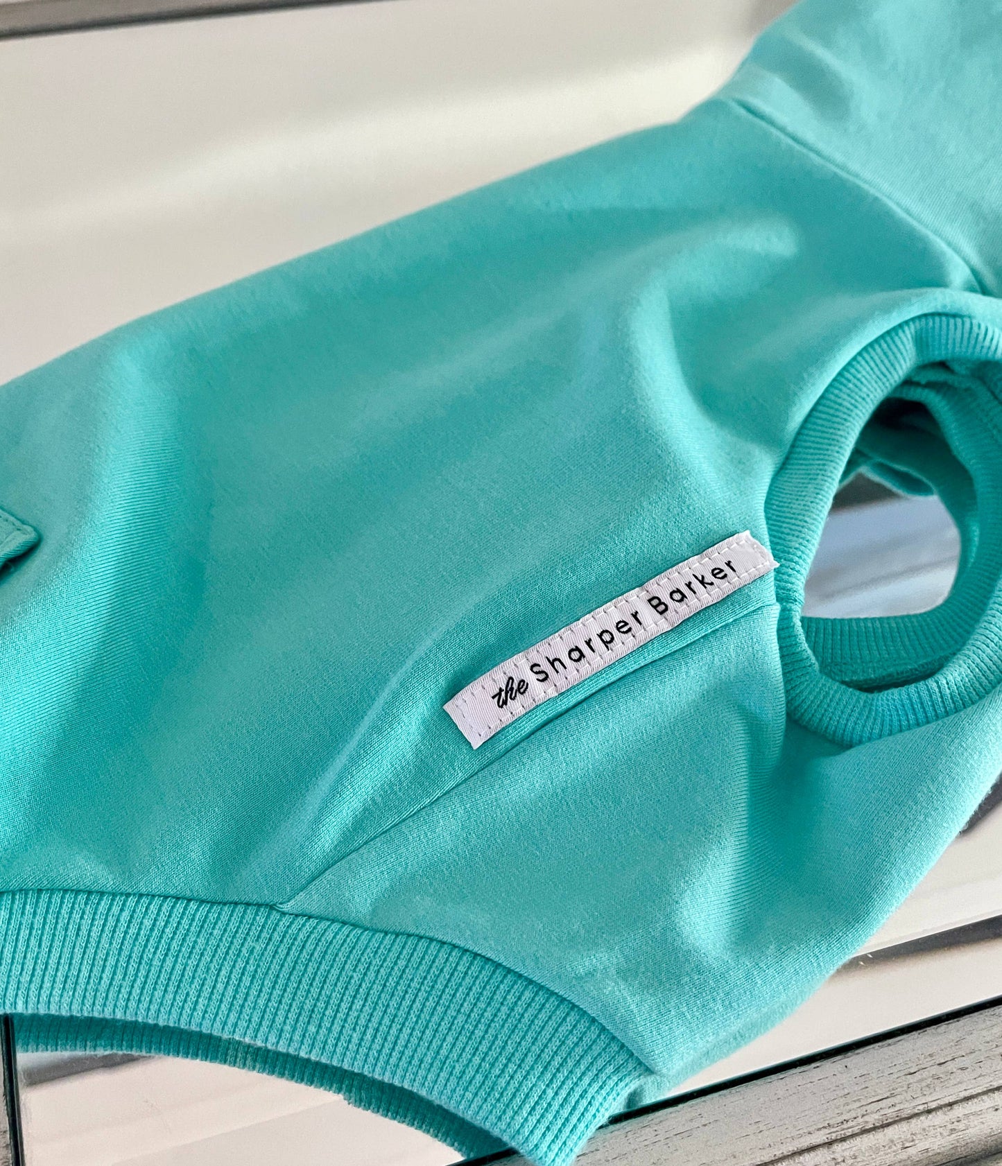Sweat à capuche en bambou pour chien - Turquoise