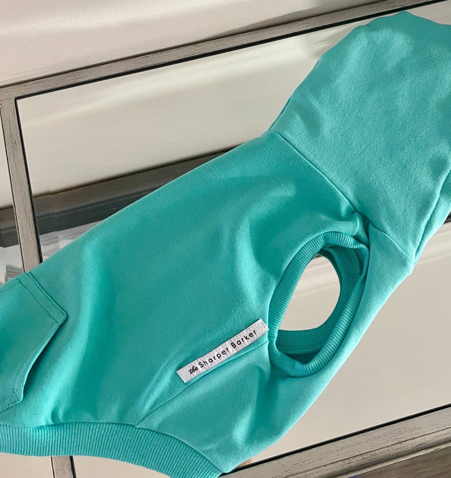 Sweat à capuche en bambou pour chien - Turquoise