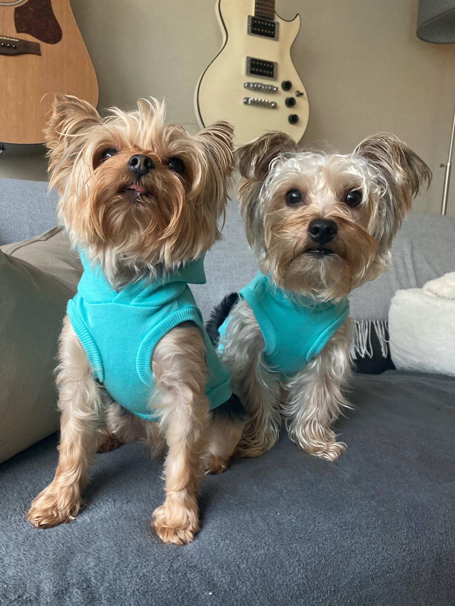 Sweat à capuche en bambou pour chien - Turquoise