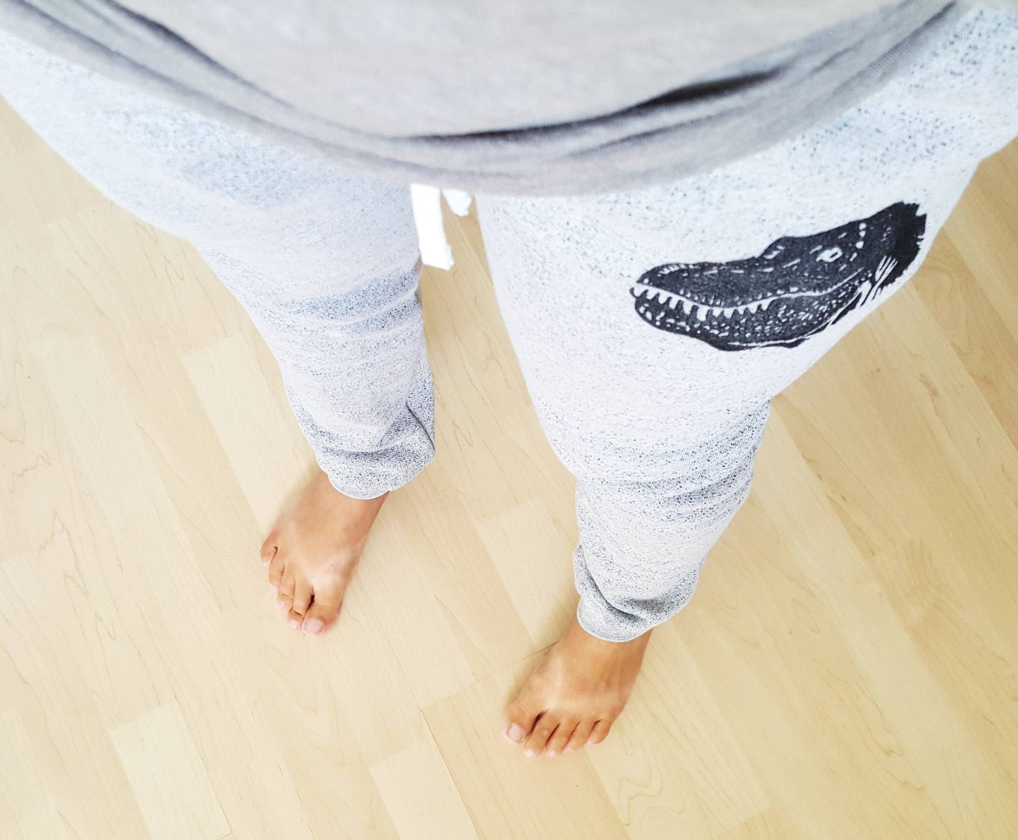 Pantalons de survêtement T-rex, joggeurs de dinosaures, pantalons de jogging imprimés à la main unisexes, pantalons de salon dino gris, imprimés en bloc, vêtements éthiques, cadeau pour lui