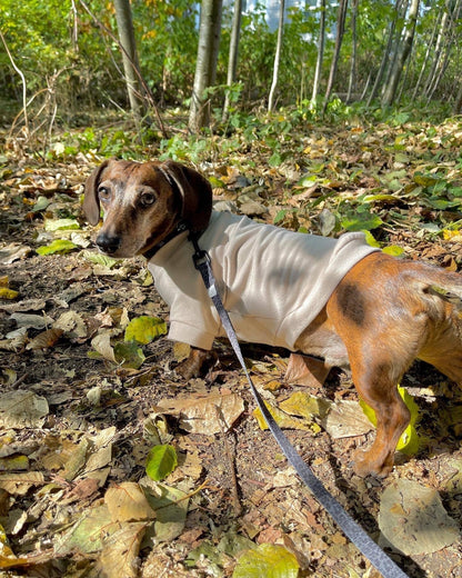 Sweat-shirt polaire pour chien - Biscuit