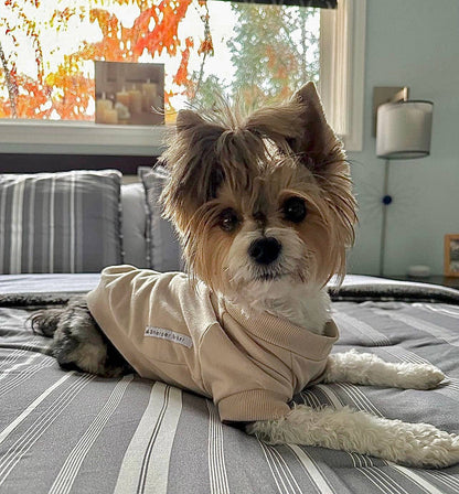 Sweat-shirt polaire pour chien - Biscuit