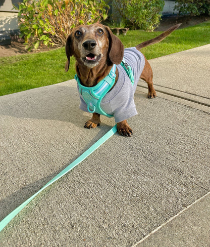 Bamboo Dog Sweater - Heather Grey
