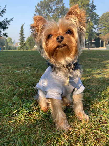 Bamboo Dog Sweater - Heather Grey