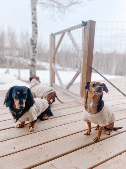 Sweat-shirt polaire pour chien - Biscuit